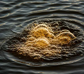 Misas upes ūdens tuvplāns